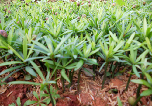 �޺���С��1