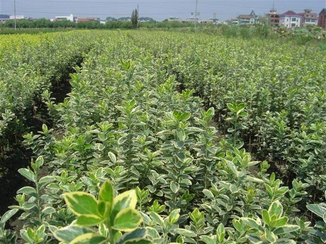 ��߻��󹤳���