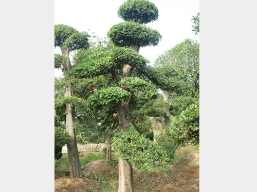 ��������2