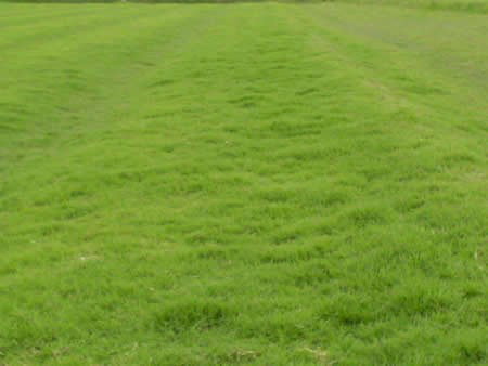 �������ݣ�̨�����Ƥ��