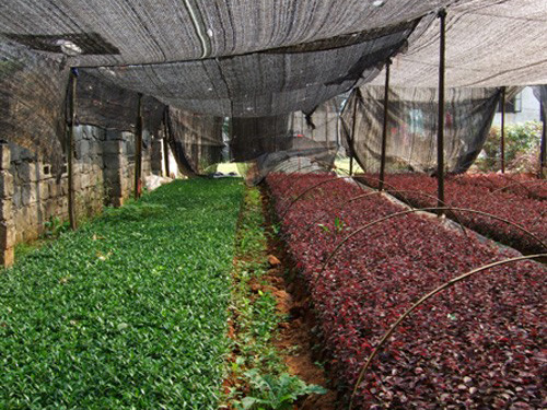 ����ľ���ž�Ȳ�Ǥ��