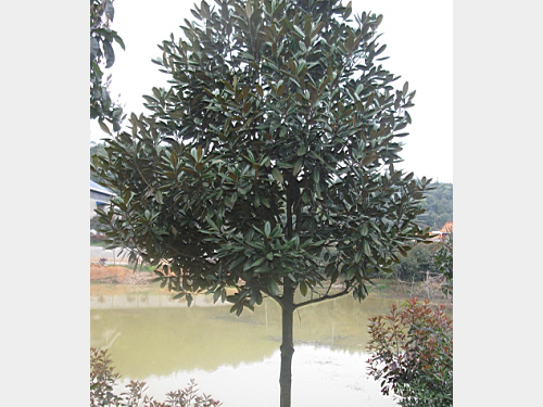 10���ֹ�����