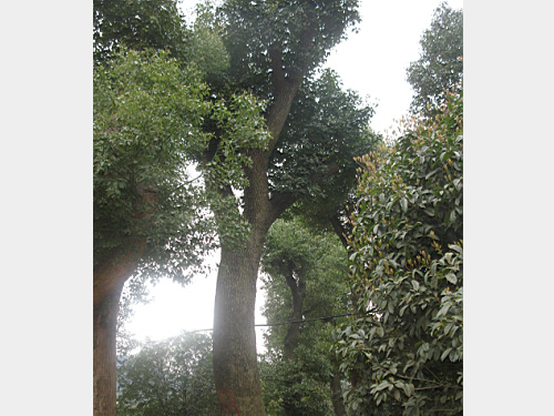 40������������