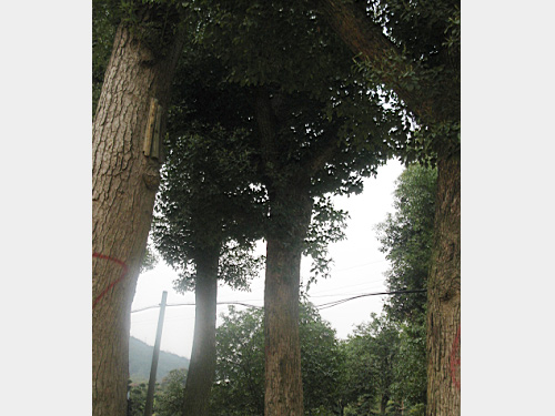 30������������