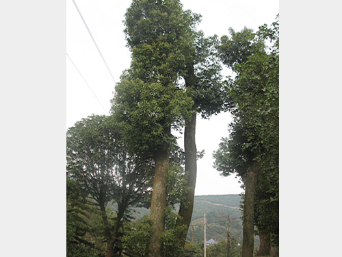 20������������