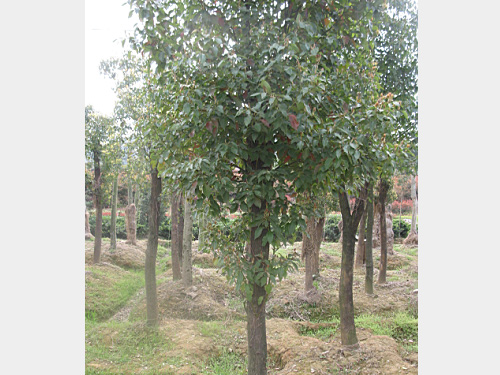 12������������