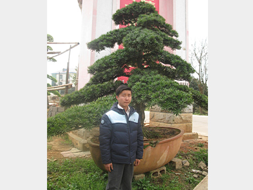 38���������޺���