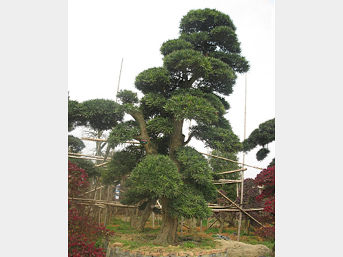 28���������޺���