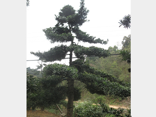 22���������޺���