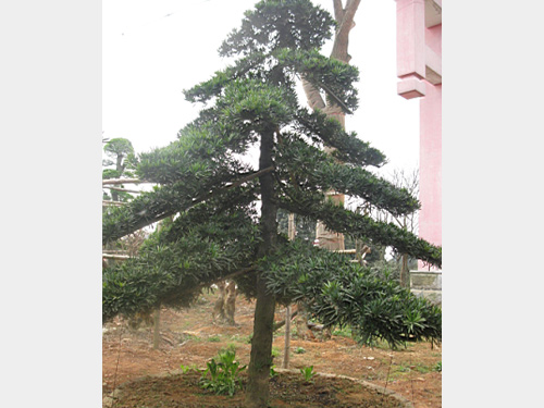 18���������޺���