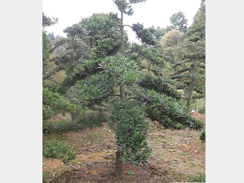 8���������޺���