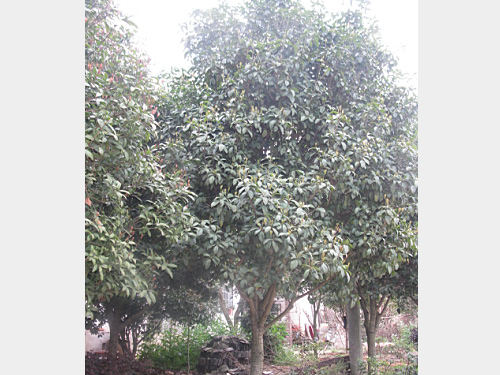 8�����ļ���