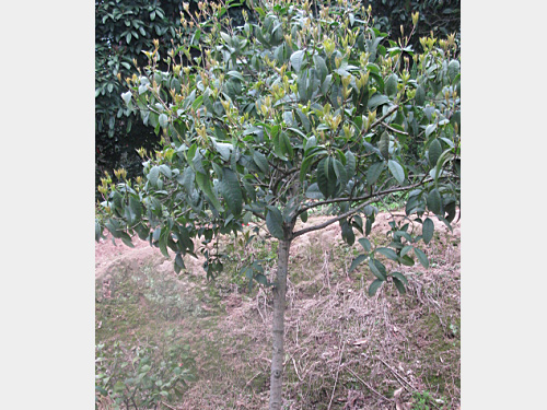 4�����ļ���