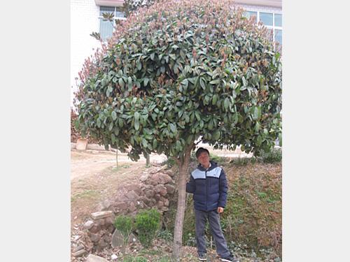 10���־�Ʒ���¹�