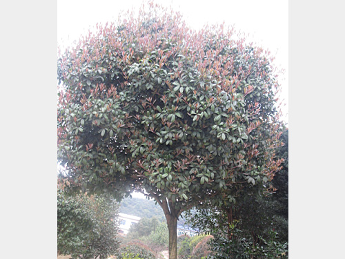 10���ְ��¹�